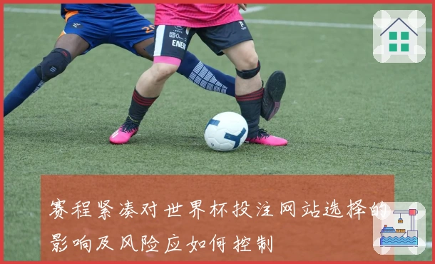 赛程紧凑对世界杯投注网站选择的影响及风险应如何控制